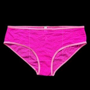 Victorias Secret low rise sexy sheer animal print Lace Hiphugger panty pink L